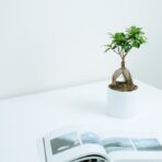 やる気に頼らず動ける「if-thenプランニング」とは？始める条件を先に決めるコツ