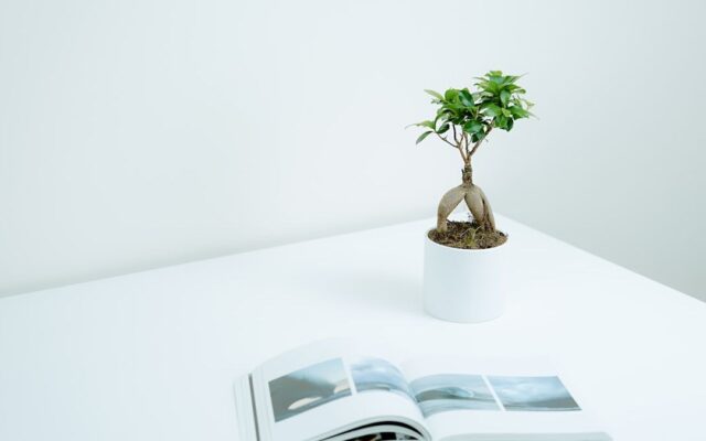 やる気に頼らず動ける「if-thenプランニング」とは？始める条件を先に決めるコツ